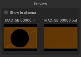 The preview of the in and out frame for this shot