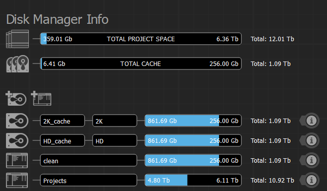 The Project Manager's Disk Manager
